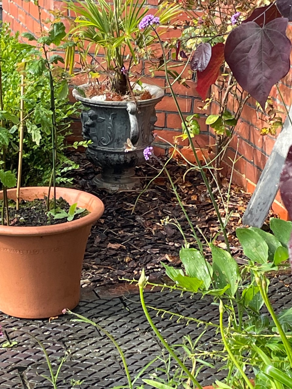Topsoil, Compost and Mulches