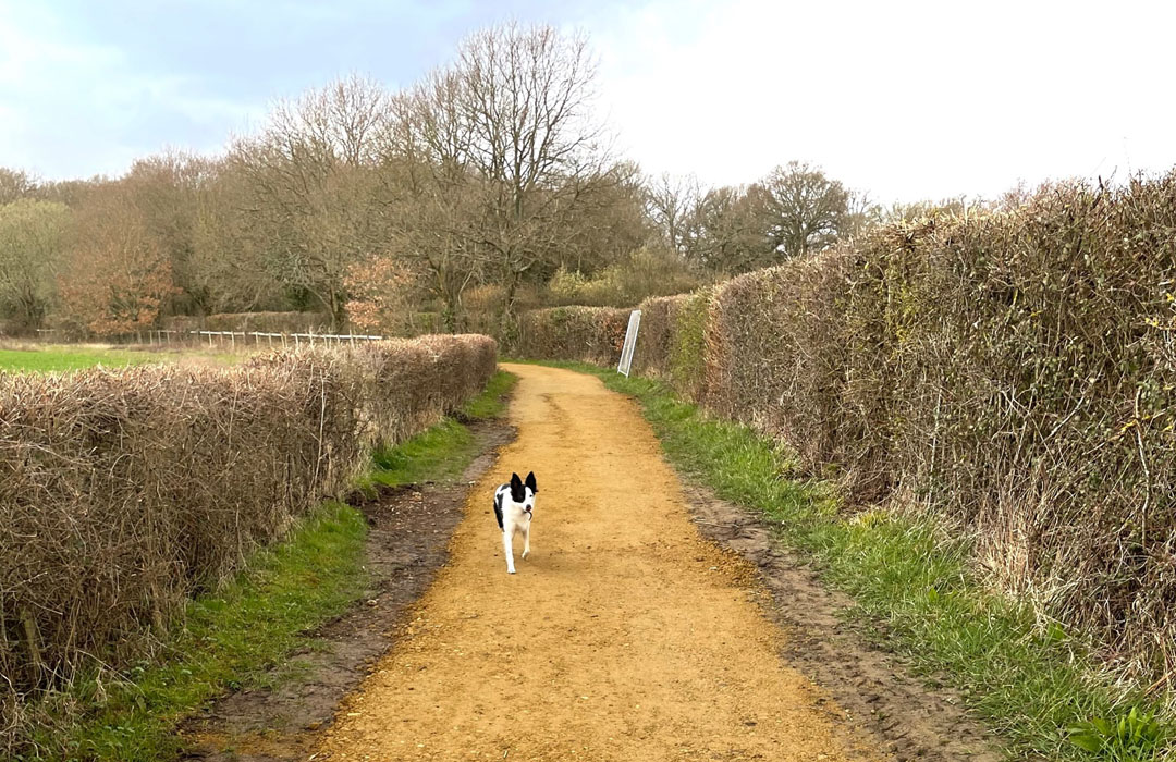 Path Gravels and Hoggin